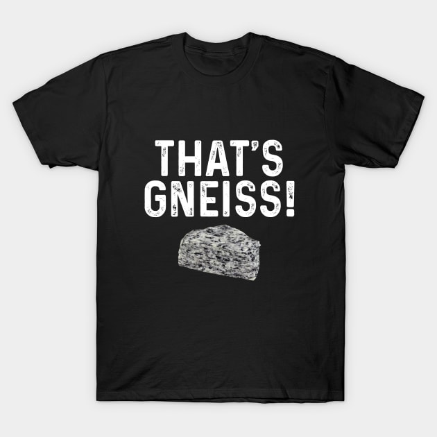 Geology - Thats Gneiss T-Shirt by Kudostees